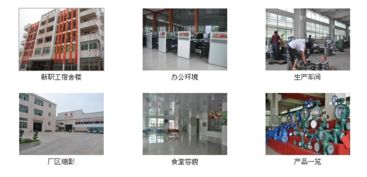 上海标光阀门厂 化工领域阀门解决方案的专业引领者
